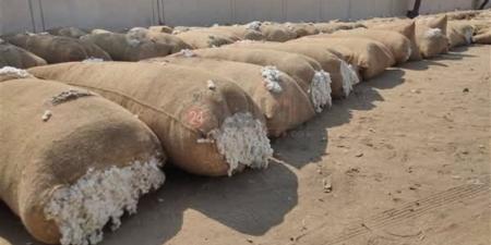 أسعار القطن اليوم السبت 18 أبريل 2026