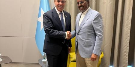 وزير الخارجية لـ رئيس الصومال: نرفض أي إجراءات تمس وحدة الصومال أو تنتقص من سيادتها