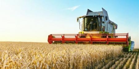 "الزراعة": تحركات ميدانية لمتابعة حصاد القمح وتوريده.. وإحالة مخالفات بالمنيا وقنا للنيابة