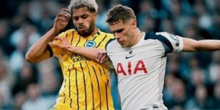 برايتون يخطف نقطة ثمينة من أنياب توتنهام في الدوري الإنجليزي