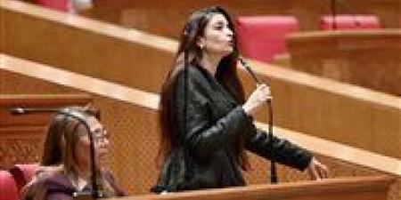 النائبة إيرين سعيد تدعم مطلب إنشاء كوبري لجزيرة الشورانية في سوهاج وتطالب بتحرك حكومي عاجل