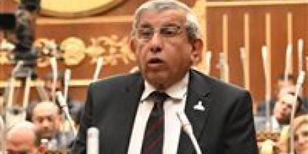 تحرك برلماني عاجل لوضع استراتيجية وطنية شاملة لمواجهة "البيدوفيليا" وحماية أطفال مصر