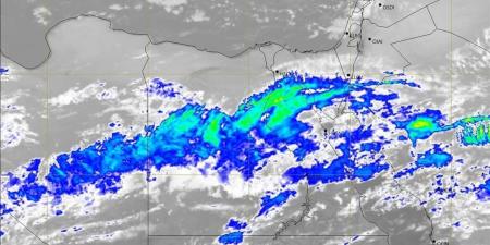 شمس دافئة وأجواء ربيعية معتدلة .. طقس محافظة الشرقية اليوم الأحد