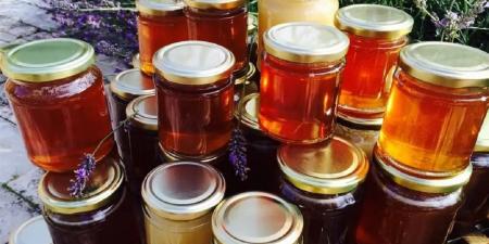 لا تقع في "فخ" السوشيال ميديا.. تحذير عاجل من وزارة الزراعة للمواطنين