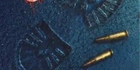 الأدب البوليسى.. أعمال صنعت عالم الغموض والإثارة