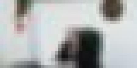 رئيس الجمهورية: خط السكة الحديدية الرابط بين الجزائر وتمنراست يدخل حيز الخدمة نهاية 2028