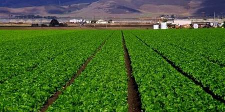 أمن غذائي وتمكين زراعي.. التحالف الوطني يطلق مبادرات لدعم صغار المزارعين بالريف