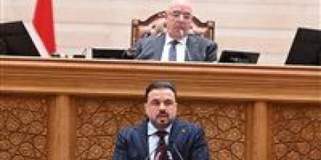 رئيس شباب النواب: رئيس اتحاد الكرة وحسام حسن يشاركان في اجتماع اللجنة لبحث الاستعداد للمونديال