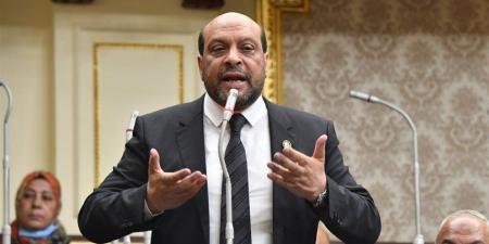 محمود الشامي: الخبراء الأجانب سر تدهور أداء التحكيم المصري