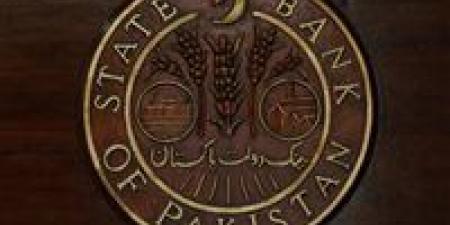 في وقت قياسي.. باكستان تتسلم المليار الثالث وتعلن اكتمال الوديعة السعودية الضخمة