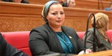 النائبة مروة حسان: "حماية المنافسة ومنع الاحتكار" يساعد فى إنشاء بيئة استثمارية صحية
