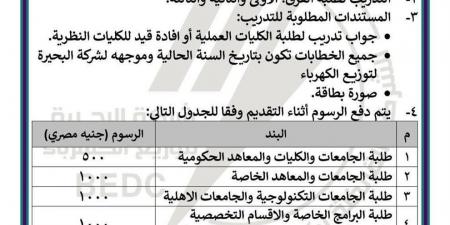 "البحيرة للكهرباء" تعلن فتح باب التقديم للتدريب الصيفي 2026