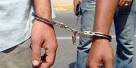 تشديد عقوبة البلطجة.. الحبس 5 سنوات عند اصطحاب حيوان لإثارة الذعر