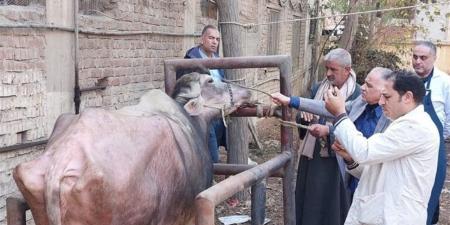 الخدمات البيطرية: علاج 645 حيوانًا و3740 طائرًا ضمن قافلة مجانية بكفر الشيخ