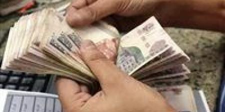 التأمينات تنفي رفع سن المعاش إلى 61 عاما في يوليو 2026