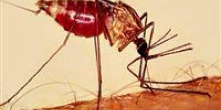 إنجاز للعام الثاني.. مصر خالية من الملاريا وتحاليل الربع الأول تؤكد النتائج