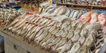 أسعار الأسماك في الغردقة اليوم الجمعة 24 أبريل 2026