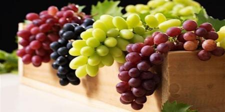 العنب يقفز لـ 130 جنيهًا.. تجار يكشفون الحقيقة وراء هذا الارتفاع