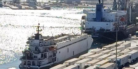 وصول 66 ألف طن قمح روسي ميناء سفاجا