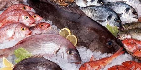 أسعار الأسماك اليوم الأحد 26 أبريل 2026