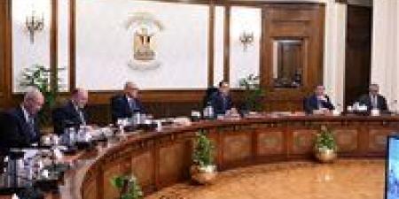 رئيس الوزراء يوجه بالإعلان عن مبادرة تحفيزية للمصانع والمنازل للتحول إلى الطاقة الشمسية