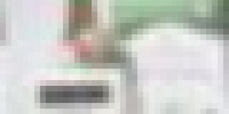 الفريق أول شنقريحة يفتتح ملتقى حول "سلسلة الإسناد اللوجيستي العملياتي"