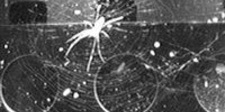 عودة «عنكبوت الفضاء».. الصين تعيد إحياء حلم ناسا لبناء منشآت عملاقة بالمدار