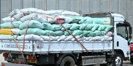 توريد أكثر من 9 آلاف طن قمح للشون والصوامع حتى صباح اليوم بالبحيرة