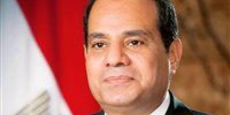 السيسي وباتروشيف.. رسائل استراتيجية تضبط إيقاع الملاحة والسياسة