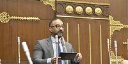 لإنصاف غير العاملات.. الحمامصي يعتزم تقديم تعديلًا تشريعيًا ينهي وقف معاش الابنة عند الزواج