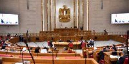 الحضانة.. "العدل" يقترح تقديم الأب للمرتبة الثانية وإلغاء التخيير واستبدال الرؤية بـ"الاصطحاب"