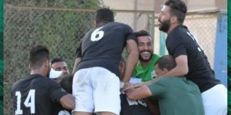 زد يهزم فاركو 1-0 في دورى مجموعة الهبوط