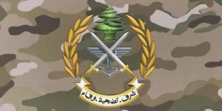 استشهاد عسكري لبناني وشقيقه فى غارة إسرائيلية بـ"خربة سلم"