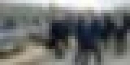 الوزير الأول سيفي غريب يدشن مشاريع صناعية بباتنة