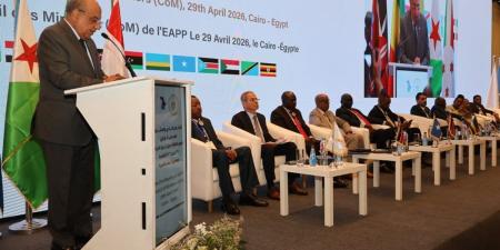 "عصمت": مصر تُدعم جهود إنشاء سوق إقليمية تنافسية وفعالة للكهرباء