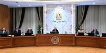 التعاقد مع «موديز وفيتش».. قرارات مجلس الوزراء اليوم الأربعاء