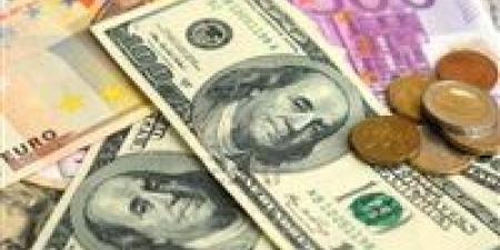 تحويلات المصريين بالخارج طوق النجاة للاقتصاد.. نمو قوي يعزز صلابة الاحتياطي النقدي