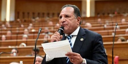 عربية النواب: ندعو إلى تعزيز التنسيق والتكامل العربي في مواجهة التحديات الأمنية الراهنة