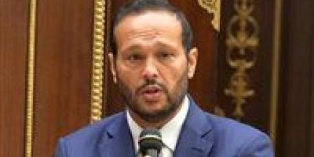 بالإجماع.. محمد حلاوة رئيسًا للجنة التجارة بالبرلمان الإفريقي
