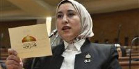 النائبة صافيناز طلعت تقترح إلزام الحكومة بتقديم دراسة اكتوراية عن المعاشات كل ثلاث سنوات.. والحكومة تؤكد: متاحة في المادة السابعة من القانون
