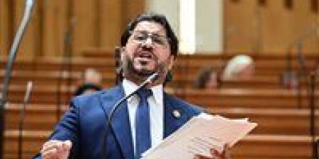 دورنا نحل مشاكل الشعب مش مشاكل الحكومة.. النائب أحمد البرلسي يرفض مشروع تعديل قانون التأمينات الاجتماعية والمعاشات