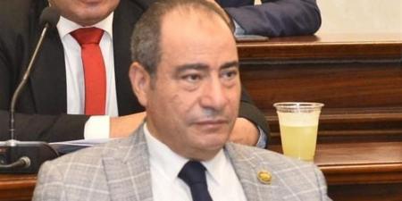 برلماني: لقاء السيسي برئيس بنك التنمية الأفريقي يدعم رؤية مصر 2030