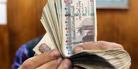 صرف منحة عيد العمال 2026 للعمالة غير المنتظمة.. رابط التسجيل الإلكتروني