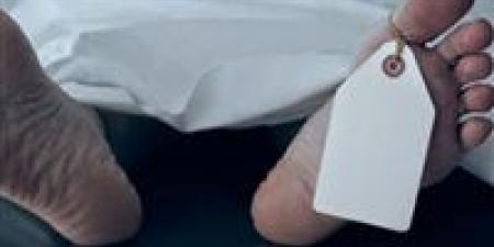 "ذبح الأم من أجل المخدرات".. جريمة تهز الزيتون وإحالة للمفتي