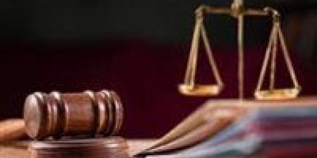 للمرافعة .. تأجيل محاكمة المتهمين بقتل شخص في الشرقية لغداً
