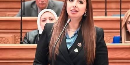 طلب إحاطة عاجل بشأن تحميل موظفي “النيل للمجمعات” فروقًا مالية ضخمة