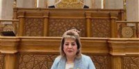 تحرك برلماني لمواجهة «جشع المنصات».. طلب إحاطة بشأن «الغلاء الإلكتروني»وضبط فوضى التسعير عبر السوشيال ميديا