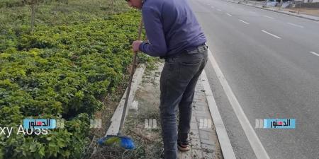 جهاز مدينة بدر يواصل تطوير المسطحات الخضراء ورفع كفاءة أعمال الزراعة
