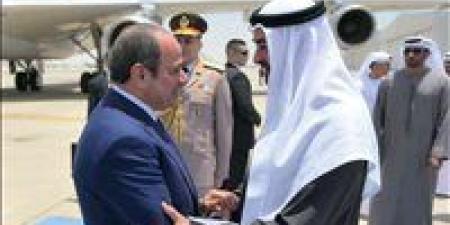 النائب سليمان وهدان : تحالف القاهرة وأبوظبي يهزم مخططات الفوضى