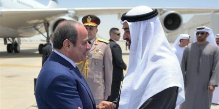 أمين عام الجبهة الوطنية: زيارة الرئيس للإمارات تكريس لوحدة المصير